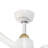 Hugo Ceiling Fan-113873910-113873917-113873916