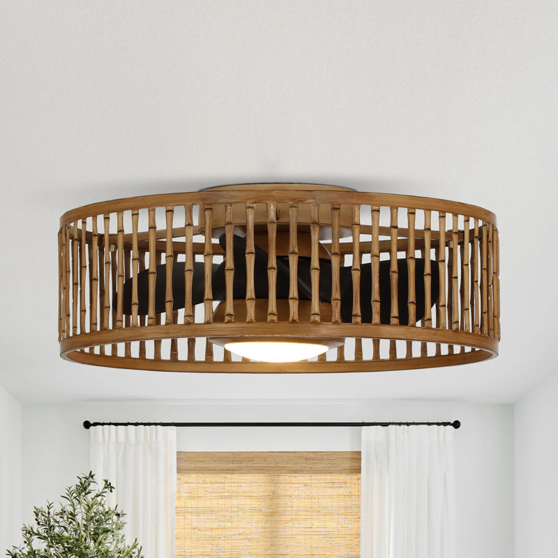 Ventilateur de plafond en cage 19,5 "avec lumières DEL et télécommande Roseland