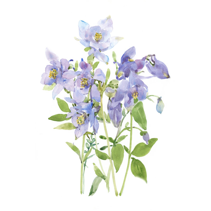 Columbine Vaporisateur I, H 30 po x l 20 po x P 1,25 po