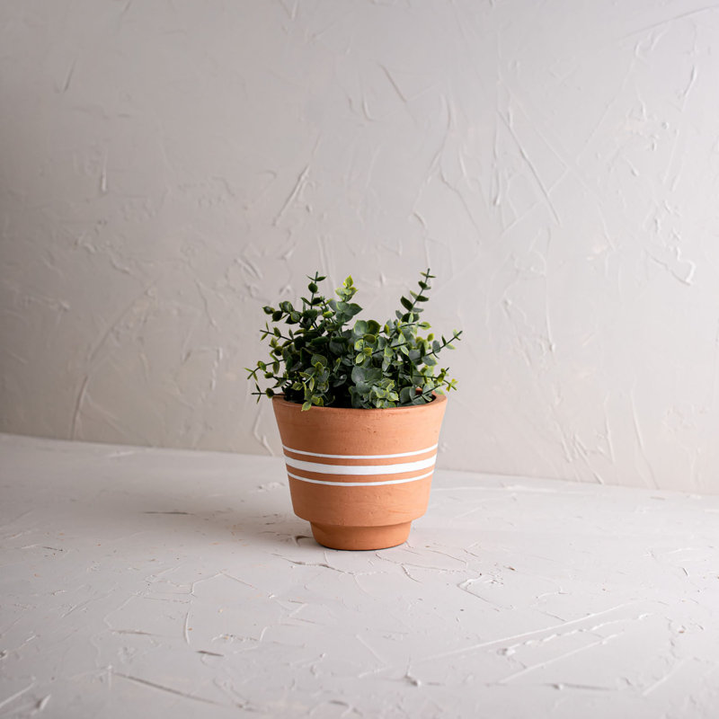 Handcrafted Terracotta Planter with White Stripes for Indoor/Outdoor Use