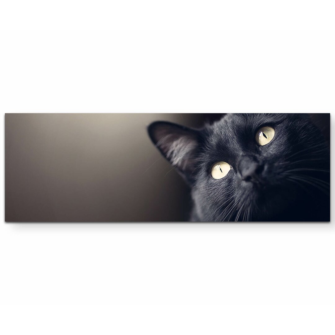 Leinwandbild Schwarze Katze - Portrait