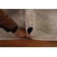 Tapis traditionnel délavé 9 x 12