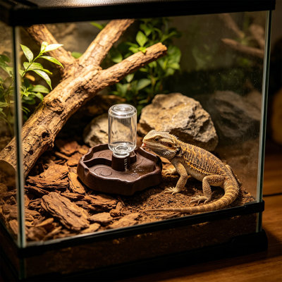 Automatic Water Dispenser for Reptile Pet Tortoises Lizards Reptiles Chickens, Brown