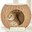 137.5cm H Tall Rattan Cat Tree