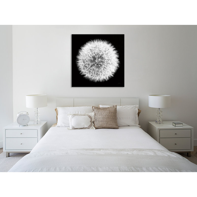 «Dandelion On Black I», toile tendue par Aledanda, H 12 po x l 12 po x P 1,5 po