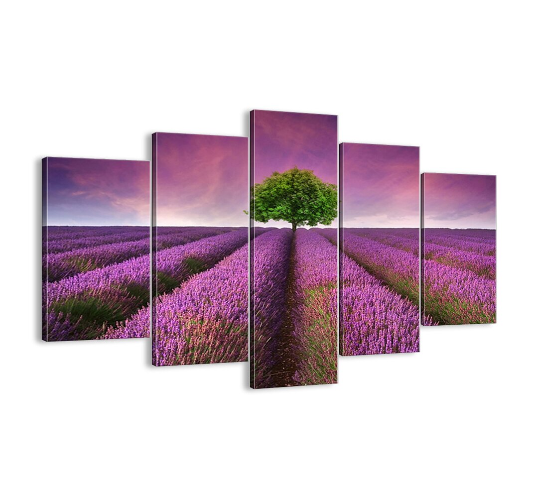 5-tlg. Leinwandbilder-Set - Fotografie „In Lavender Fields”