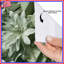 Rideaux de douche Green Flowers-129218719