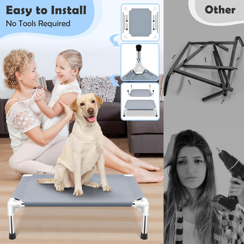 Lit pour chien surélevé à refroidissement surélevé, lit surélevé pour chien de taille moyenne