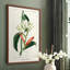 Turpin Tropical Botanicals, reproduction d'art encadrée - bois massif-1085351263-1085351270