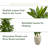 48" H Foliage Plant in Ceramic Planter