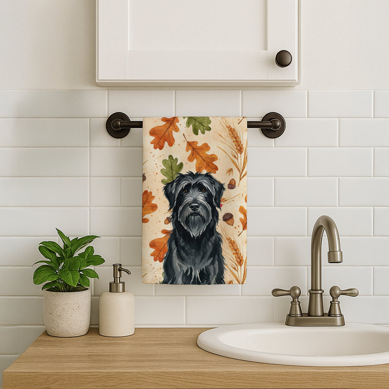 Torchon noir Briard, Black Briard