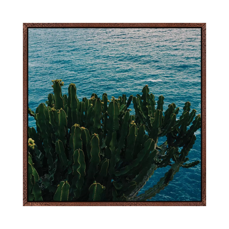 Amalfi Coast Cactus II by Bethany Young - Print on Canvas, 66.04cm H x 66.04cm W x 3.81cm D, Classic Brown Wood Framed