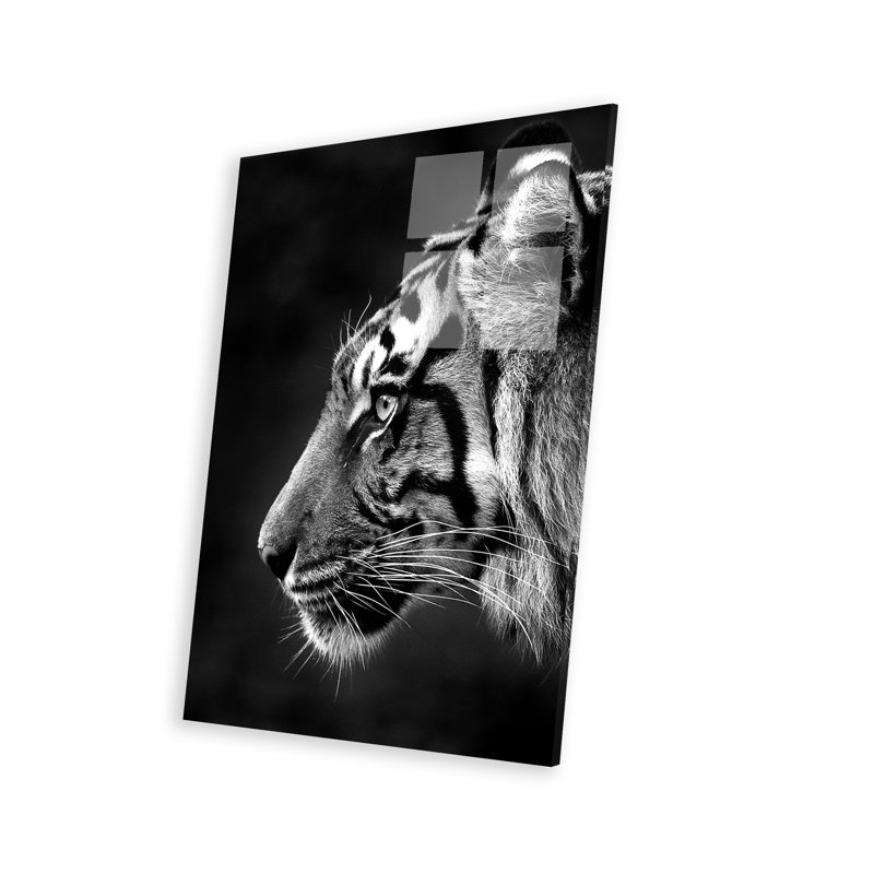 " Indrah " by David Whelan
