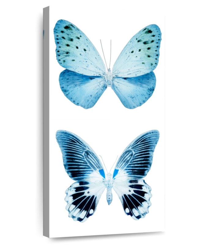 Miss Butterfly X-Ray - blanc, H 30 po x l 15 po