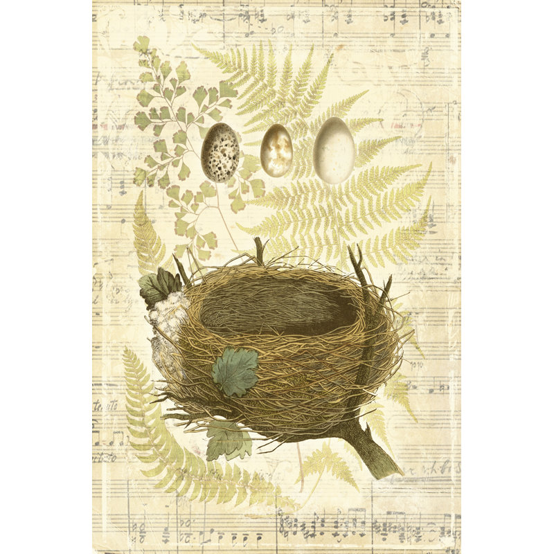 Melodic Nest & Eggs II - Wrapped Canvas Print, 91cm H x 61cm W x 3.8cm D