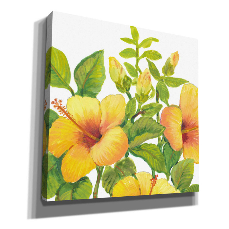 «Watercolor Hibiscus I» par Tim O'toole, art mural sur toile, H 12 po x l 12 po x P 0,75 po