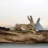 Miraflores Rabbit Animals Resin Garden Statue