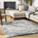 Myndi Abstract Indoor Rug