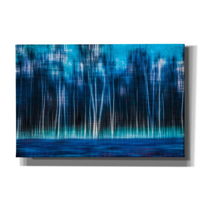 «Mystic Forest» par Hannes Cmarits - reproduction d'art sur toile tendue