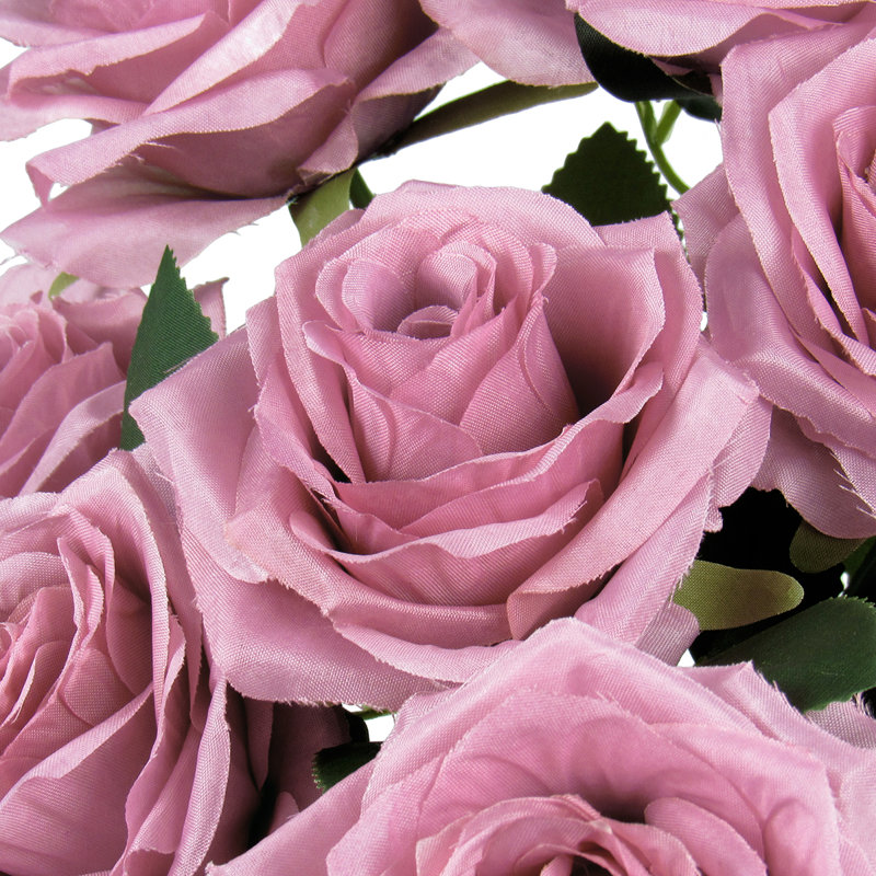 Grand rosier, Mauve