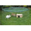 Weather Resistant Small Animal Playpen