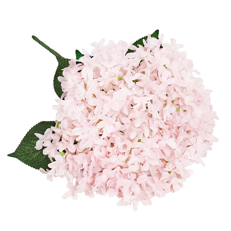Étoile, hortensia et fleurs, Rose clair