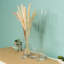 Monico Glass Table Vase-2129816348