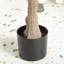 Decorative Object