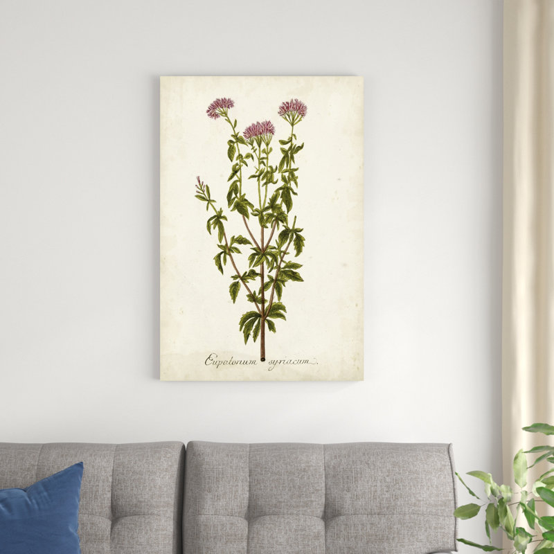 Herbe antique botanique I, H 36 po x l 24 po
