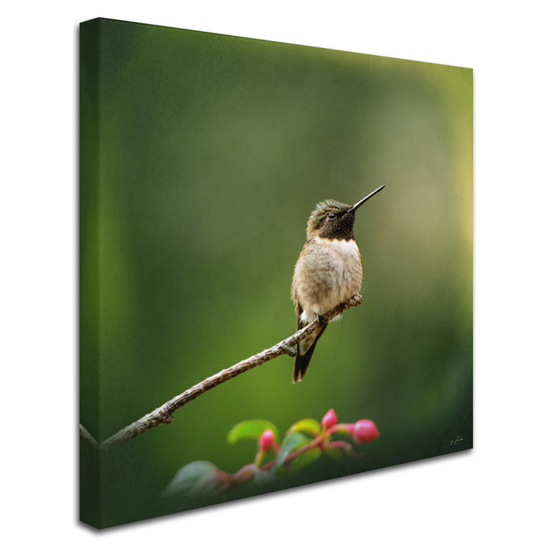 'Hummingbird in the Garden' Graphic Art Print on Wrapped Canvas, 18" H x 18" W