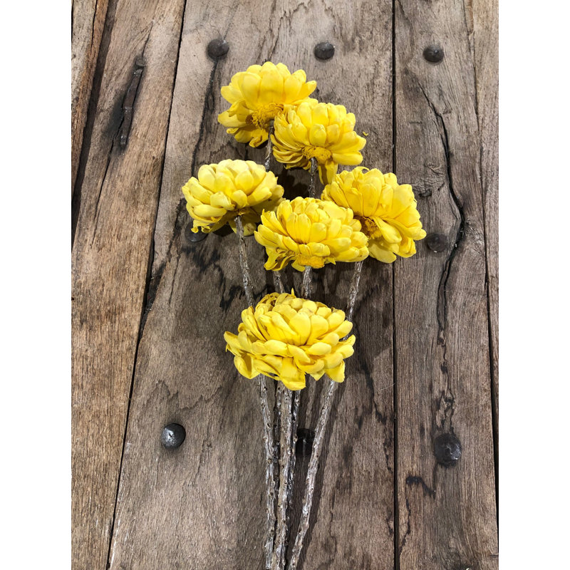 Mum Arrangement, Sunkist Yellow