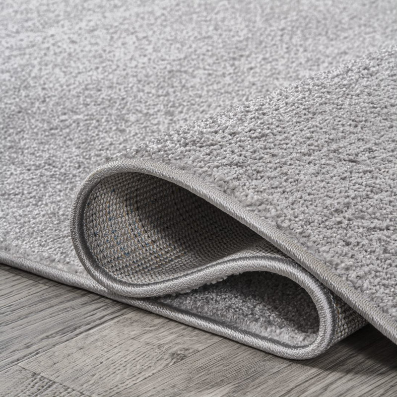 Tapis gris clair Asaiah, Rectangle 2 pi 9 po x 5 pi