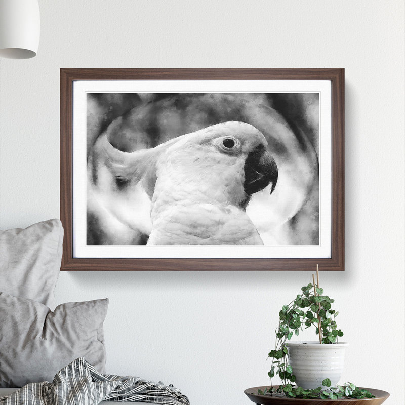 Cockatoo Bird Vol.2 - Picture Frame Graphic Art, Walnut Framed, 36cm H x 48cm W x 2cm D