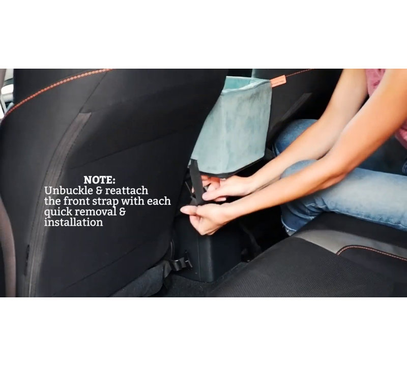 Large Black Soft-Sided Dog Carrier with Sherpa Lining