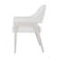 Delray Dining Arm Chair-1560894370