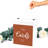 Paper Gift Card Holder
