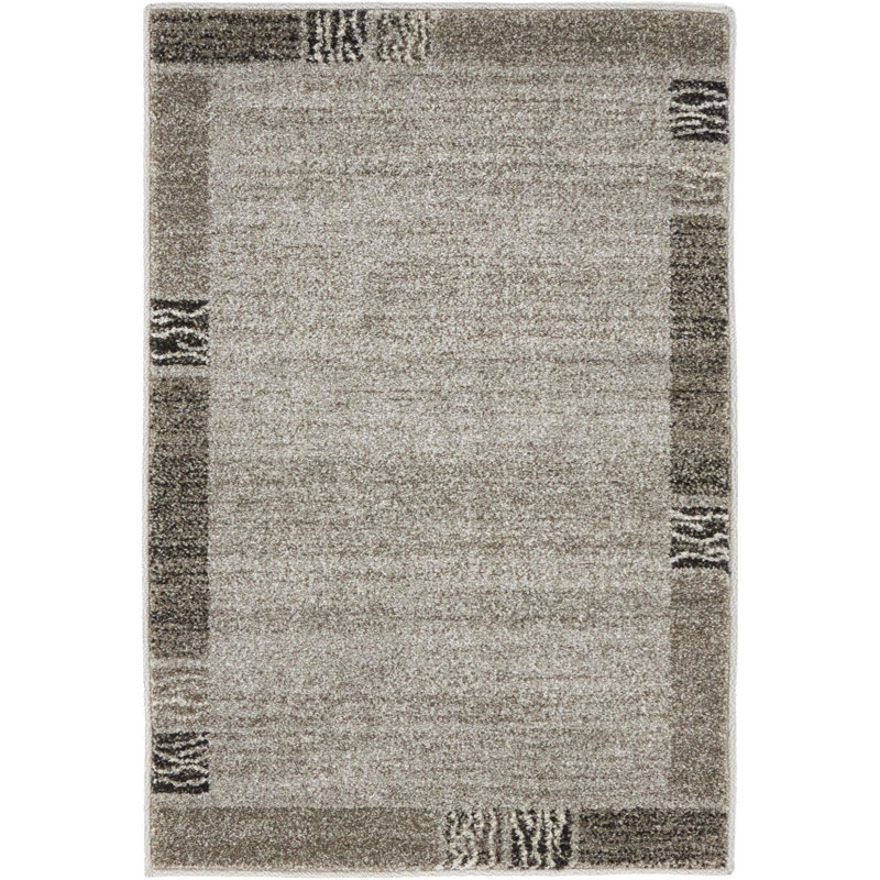 Dejourn Area Rug, Rectangle 66 x 91cm