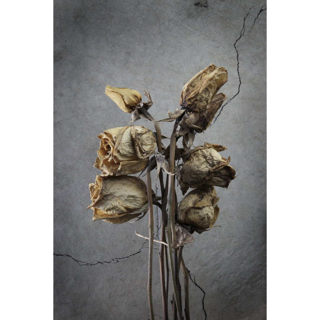 Bunch Of Dead Roses von DaveAlan - Drucken