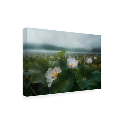 Œuvre sur toile, Shanyewuyu