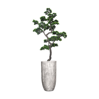75" Artificial Faux Bonsai Tree In A White Wooden Colored Planter