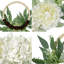 28cm Wreath