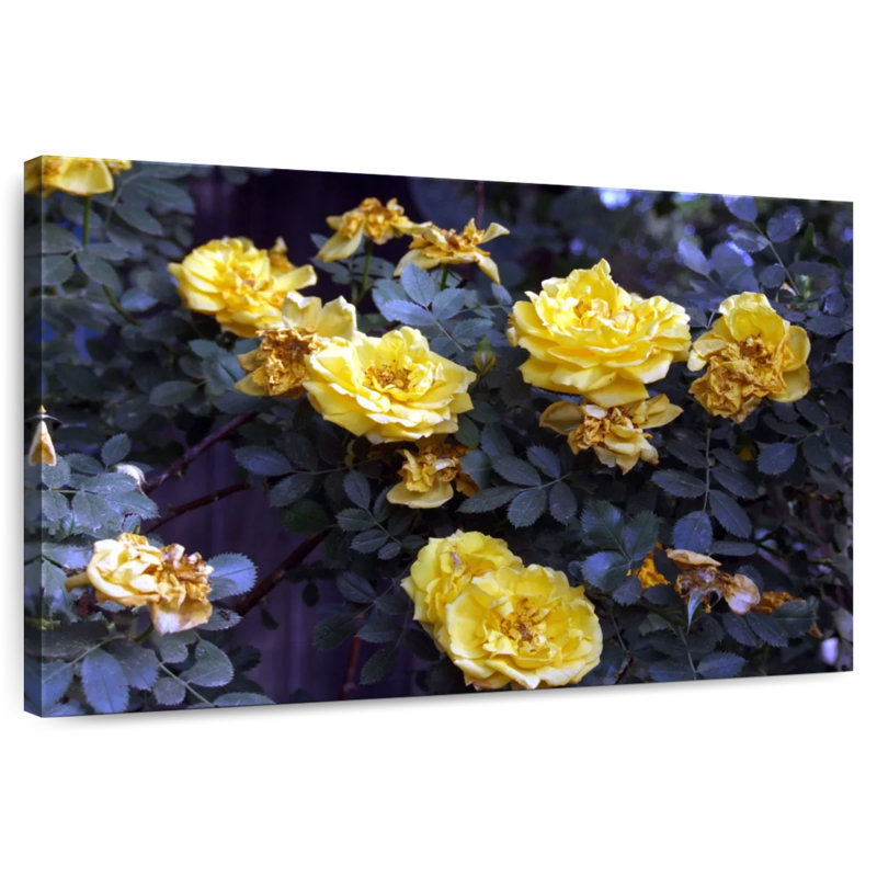Bouquet de roses jaunes Harnek