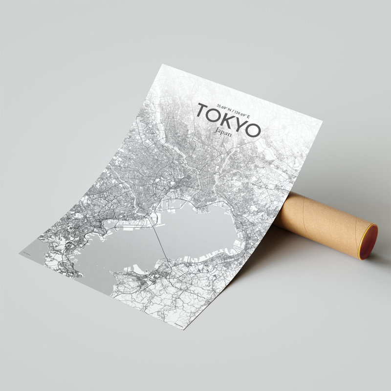 Carte de la ville de Tokyo, impression, H 17 po x l 11 po, Gris / blanc
