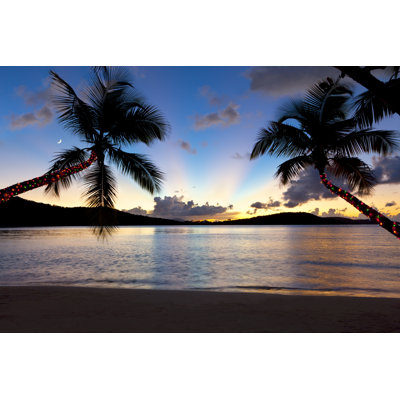 Palm Trees by Cdwheatley - Wrapped Canvas Print