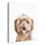 Impression sur toile Sweet Puppy-371673276