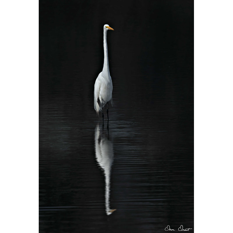 Aigrette élégante I, H 18 po x l 12 po