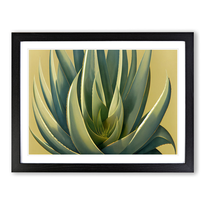 Lush Aloe Vera Plant - Single Picture Frame Print, 46cm H x 64cm W x 2cm D, Black