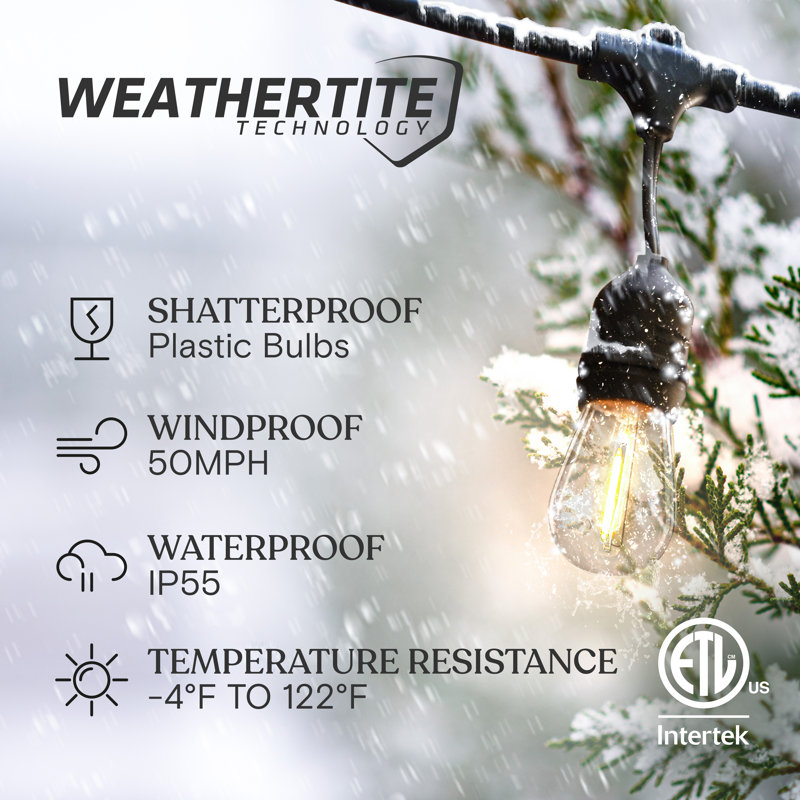 Ambience Pro 48 ft. Plug-In Outdoor Patio LED String Lights with 15 Warm White S14 Edison Bulbs, Weatherproof, 48 ft.