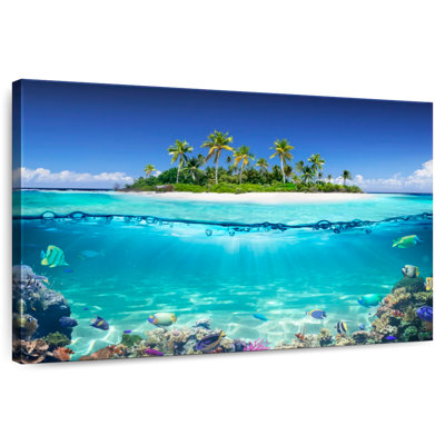 Gillard Tropical Island Coral Reef