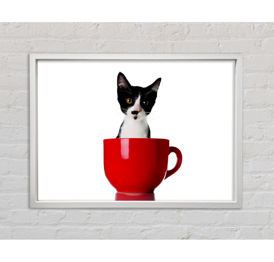 Katze in einer Teetasse - Einzelner Bilderrahmen Kunstdrucke auf Leinwand